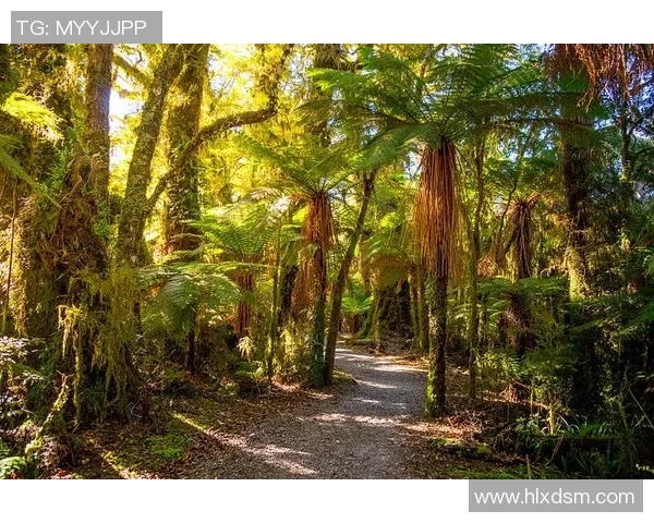 森林的咆哮:铁树开花,弥足珍贵的客场胜利! 森林的咆哮:铁树开花,弥足珍贵的客场胜利!
